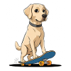 Labrador on Skateboard Illustration