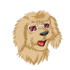 Loving Doodle with Sunglasses