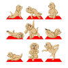 Sjov Golden Doodle Hund, der laver yogastillinger Design