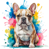 Bouledogue français Aquarelle Splash