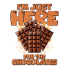 Chocolate Lover Saying