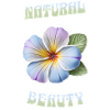 Natural Beauty – Blossom Art