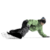 Freerider Snowboarder