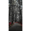 Murmures du sentier d’automne