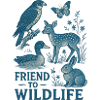 Wildlife Friendship Illustration