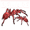 Ant Breeding Ant Breeder Ants