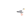 Hamburg Moewe