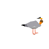 Coast Child