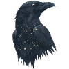 Raven