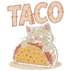 Playful taco kitten design