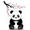 Panda, Pandabär, Japanisch, Kirschblüten
