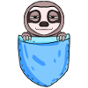Funny Sloth Design