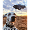 Dalmatian Selfie UFO