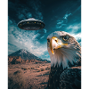 Eagle Selfie UFO