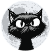 Moon Cat Midnight