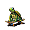 Turtle on skateboard
