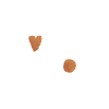 I loev kruidnoten