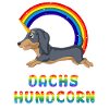 Dachshund