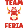 Buffalo head with Mexican feria hat