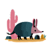 Armadillo – Cactus Vibes