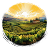 Sunrise over vineyard landscape