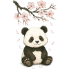 Panda, Pandabär, Japanisch, Kirschblüten