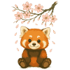 Roter Panda, Pandabär, Japanisch, Kirschblüten