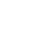 bodyguard
