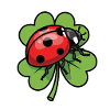 Shamrock with ladybug design