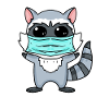 Funny raccoon with mask