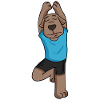Dog does yoga