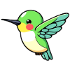Hummingbird