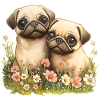 Cute pug couple