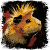 Cochon d’Inde Punk Rock