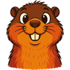 Funny Squirrel