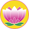 Lotus Flower Meditation