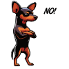 No Miniature Pinscher Pinscher Pinscher Owner