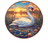 Cygnes Cygne