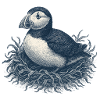 Detailed Puffin Nest Illustration