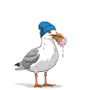 Gesucht Möwe Eiscreme Abenteuer