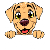 Playful dog-face print