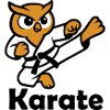 Karate Owl