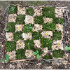 Forest Plants Pattern Design