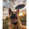 German Shepherd Selfie with UFO