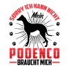 Podenco Needs Me Spanish Greyhound