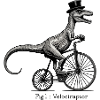Velociraptor