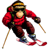 Singe de ski