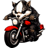 Motorcyclist Badger