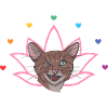 Chakra Cat