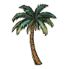 Palm tree
